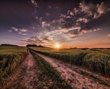 1_810_2683-Edit-5