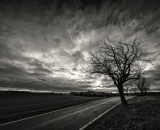 1_DSC_6517-Edit