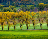 810_3268-Pano-Edit