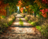 850_7498-Edit-Edit