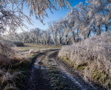 850_7753-Edit