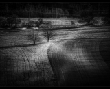 DSC_6647-Edit-Edit