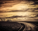 NEF_0819-Edit-4