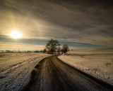 NEF_1097-Edit-2-Edit