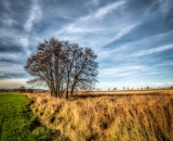 1_DSC_9287-Edit-3-Edit