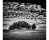 750_1884-Edit-4-Edit-Edit-3