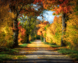 750_4320-Edit-Edit