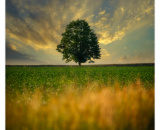 810_2552-Edit-Edit-topaz-denoise