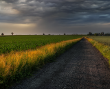 850_8768-Edit-Edit-topaz-denoise