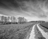 DSC_2608-Edit