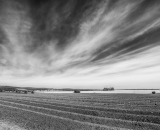 DSC_2629-Edit