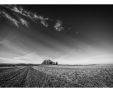 DSC_3862-Edit-4-2
