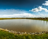 DSC_5373-Pano-studio
