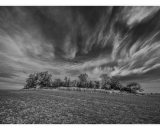 DSC_8723-Edit