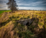 DSC_9273-Edit