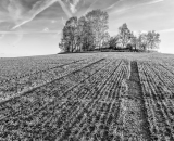 DSC_9334-Edit