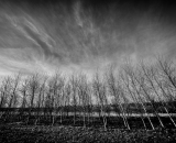 NEF_1866-Edit