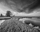 NEF_1901-Edit-3