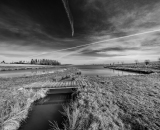NEF_1922-Edit