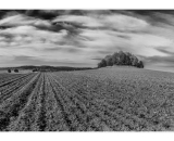 NEF_6283-Pano-Edit