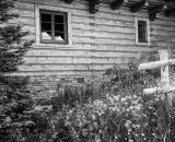 DSC_5914-Edit