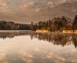 NEF_7528