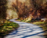 810_1731-Edit-Edit-2