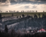 810_5558-Edit