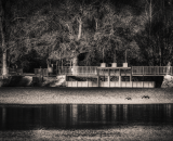 810_3426-Edit-Edit