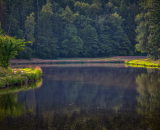 850_8709-Edit-2