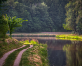 850_8719-Edit