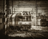 DSC_0013-Edit