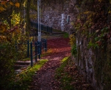1_DSC_0019