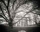 750_1478-Edit-2