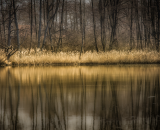 750_2738-Edit-2