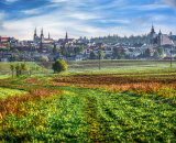 750_2813PSx-Edit-topaz-denoise