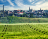 750_2839topaz-denoise