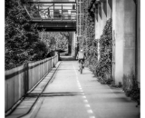 750_3275-Edit-4ramecek