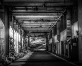 750_3283-Edit-2