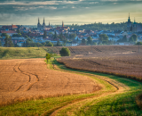 750_3712-Edit-Edit-topaz-denoise-2