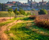 750_3750-Edit-Edit