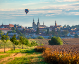 750_3753-Edit-Edit-topaz-sharpen