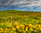 750_3794PS-Edit-Edit