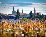 750_3799-Edit-2-Edit