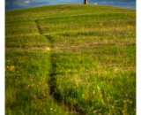 750_3835PS-Edit