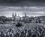 750_3857-Pano-2-Edit-Edit-Edit-3-2-topaz-denoise-sharpen