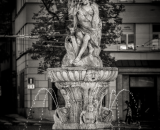 750_7696-Edit
