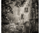 810_2504-Edit-Edit