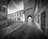 810_6667-Edit-Edit