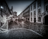 850_0337-Edit-4-topaz-denoise